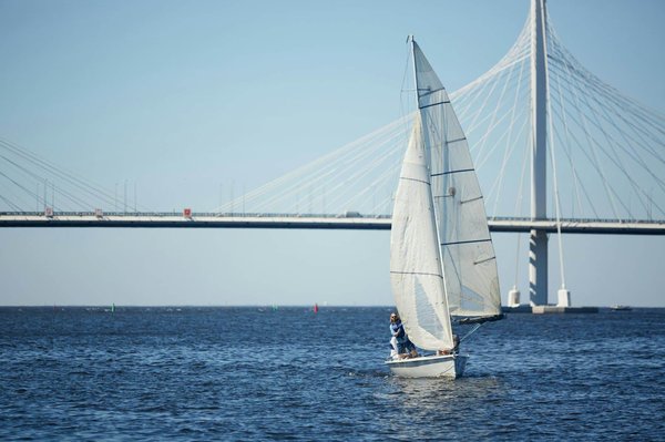 Traveling Abroad in Your Third Trimester: Insights from UK Guidelines